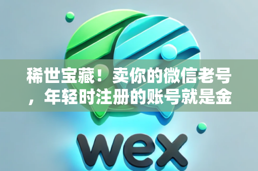 稀世宝藏！卖你的微信老号，年轻时注册的账号就是金子